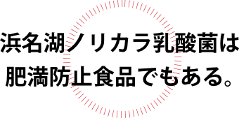 浜名湖ノリカラ乳酸菌は 肥満防止食品でもある。