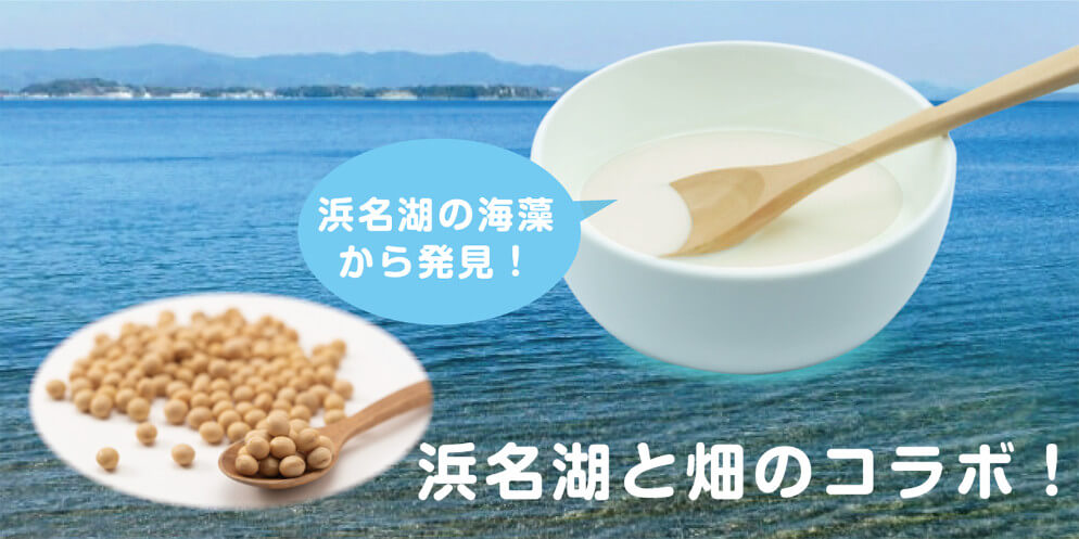 浜名湖と畑のコラボ！